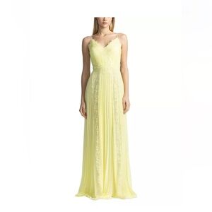 Zac Posen
Chiffon Lace Gown